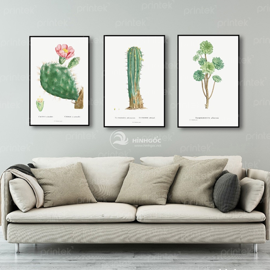 Bộ 3 tranh canvas lá cây, đã có khung - PIN667