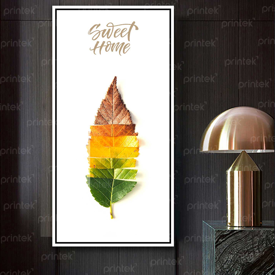 Bộ tranh vòng đời của lá – AL2809176