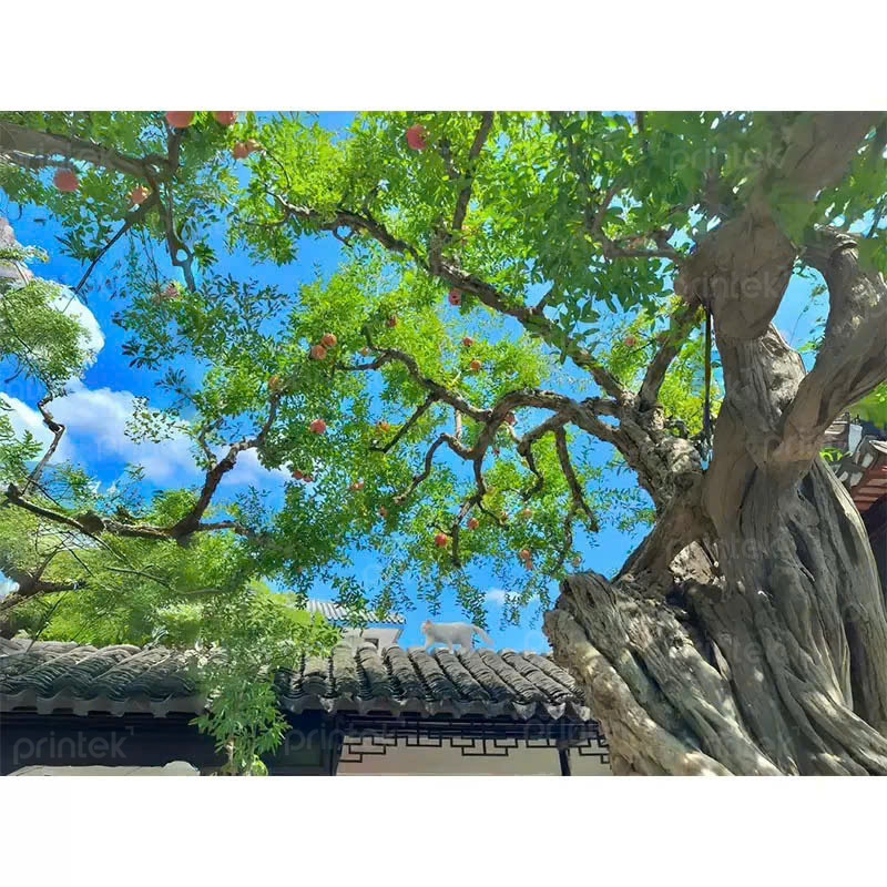Tranh Tán lá khổ lớn treo tường, xưởng tranh canvas in theo yêu cầu - PT09010