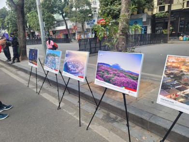 Tranh canvas