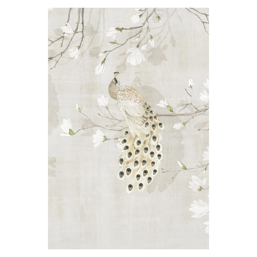 Tranh dán tường con công, họa tiết indochine - TB332457907